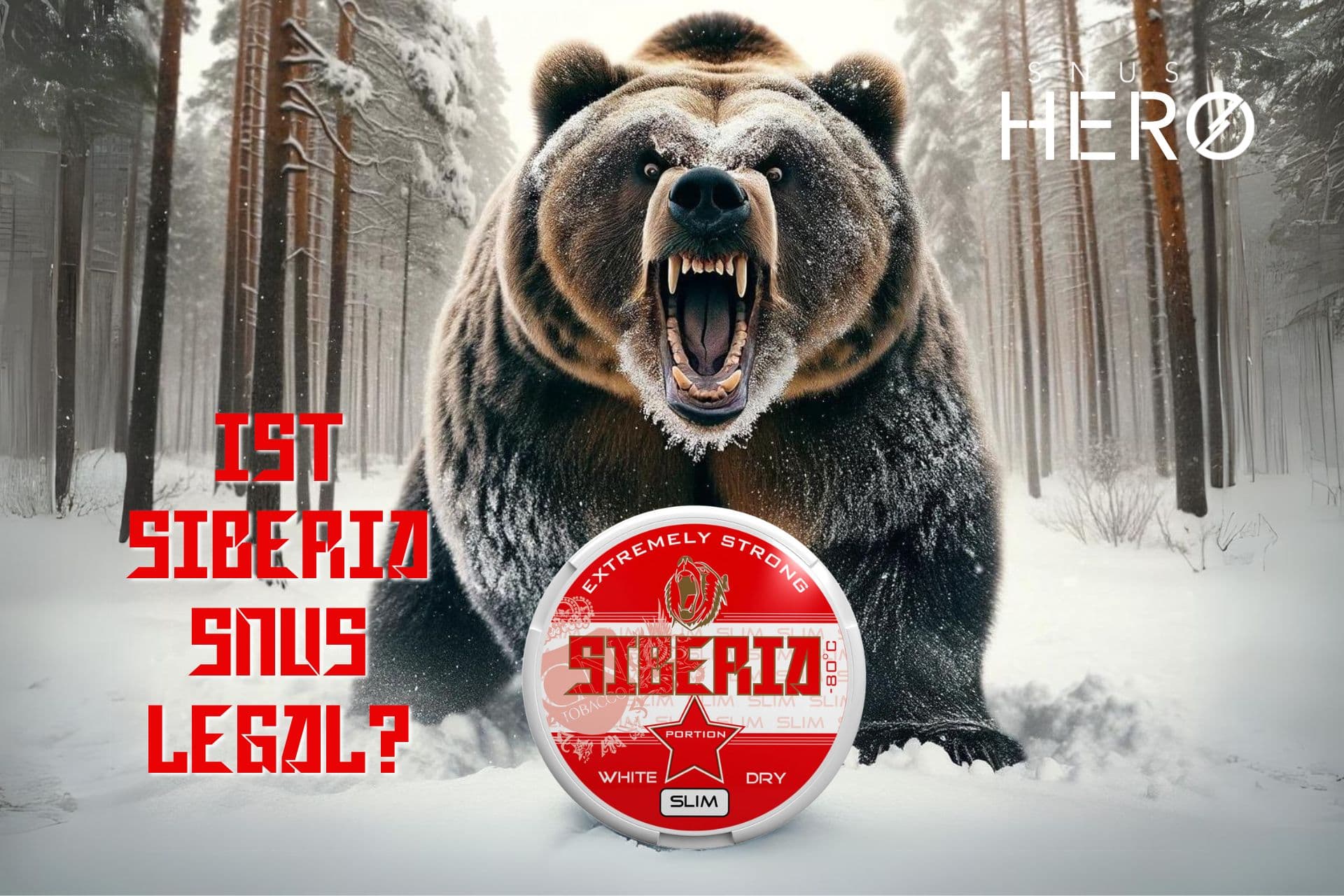 Siberia Snus legal? - Deine Fragen geklärt